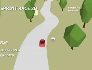 Racing 3D