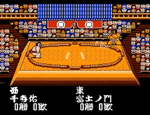 Terao’s Grand Sumo Dojo (JP)