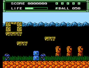 The Turtle’s Gift (USA)