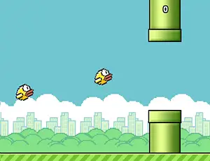 Squash the Bird(CH)